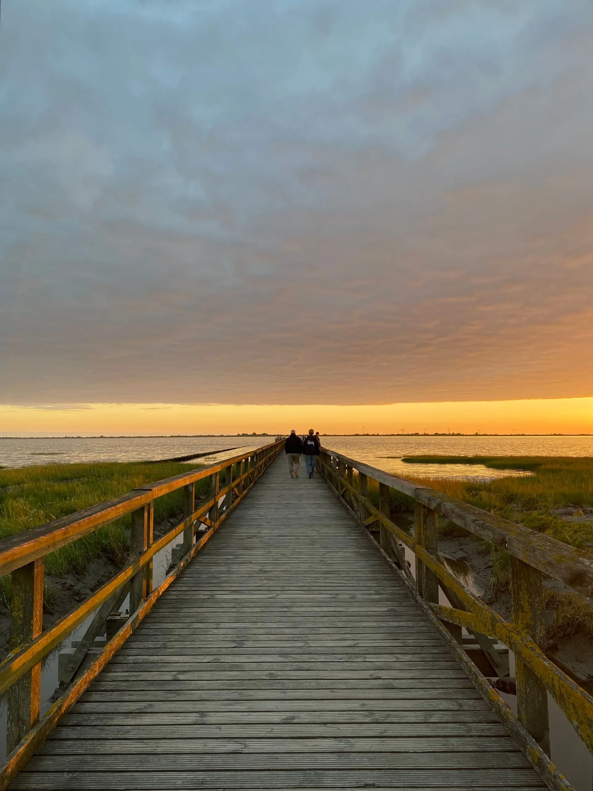 Schobüll Steg Sonnenuntergang